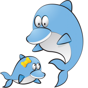 Baby Dolphin Level For Babies
